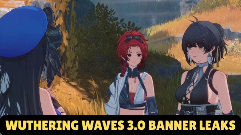 Wuthering Waves 3.0 Banner Leaks
