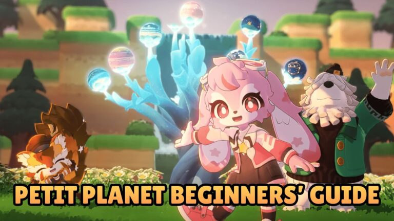Petit Planet Beginners’ Guide