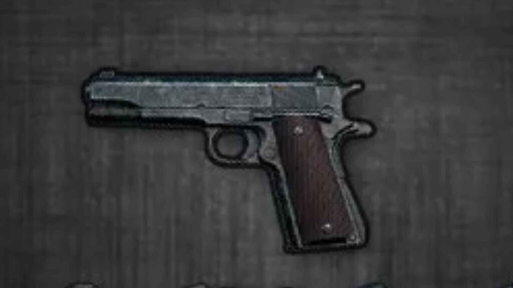 P1911 Skins