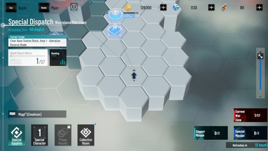 Punishing Gray Raven Special Dispatch