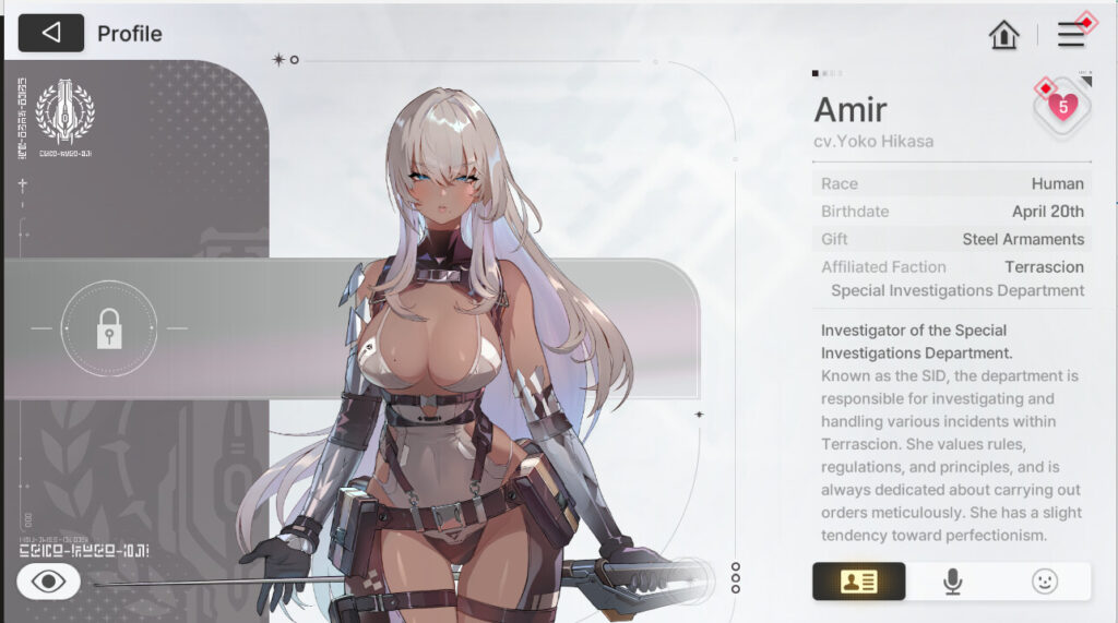 Chaos Zero Nightmare Amir